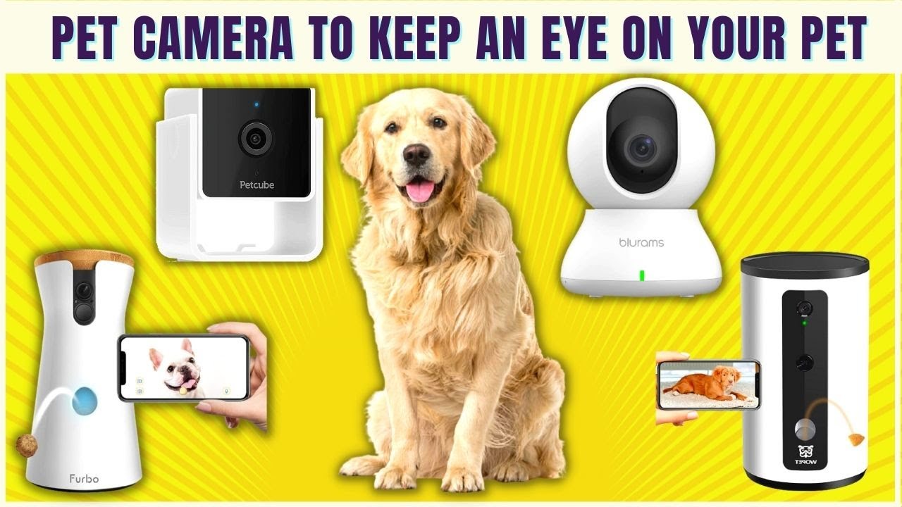 Learn how to use smart cameras to keep an eye on your pets while you're away. Get tips on setting up and using pet monitoring cameras.