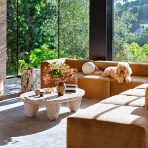 creating pet-friendly spaces