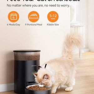How to Automate Cat Feeding