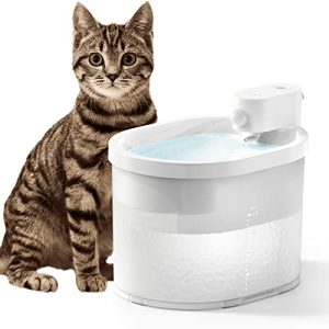 smart pet water fountain