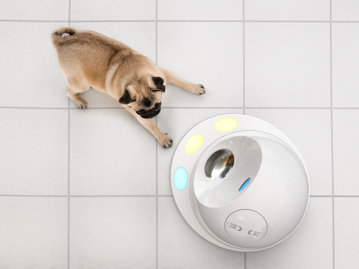 pet monitoring system