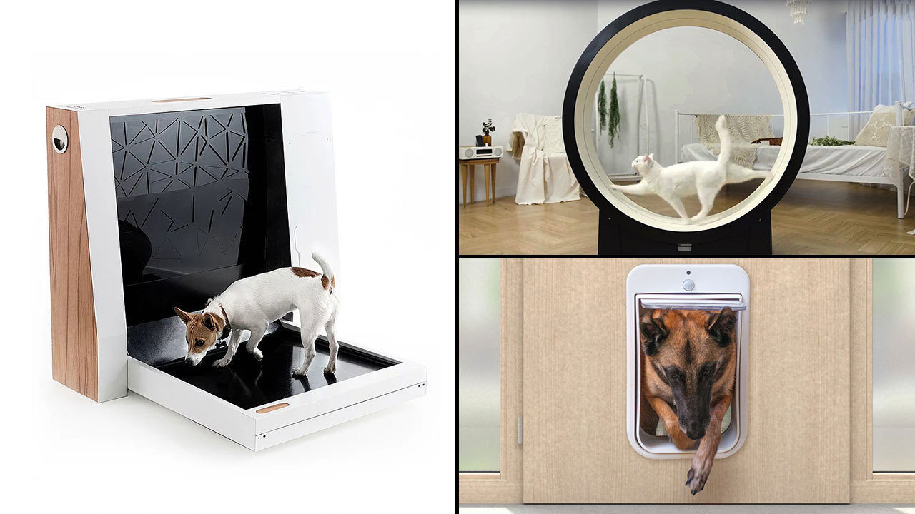 smarthome for pets