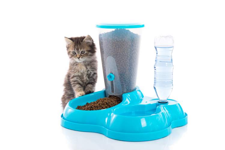 Automatic Cat Feeder Dry Food