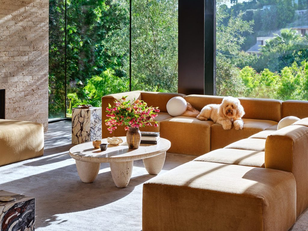 Creating Pet-Friendly Spaces Creating Pet-Friendly Spaces