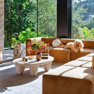 Creating Pet-Friendly Spaces Creating Pet-Friendly Spaces