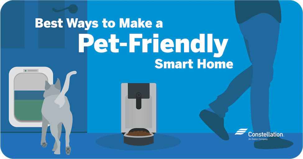 Smart Home Pet