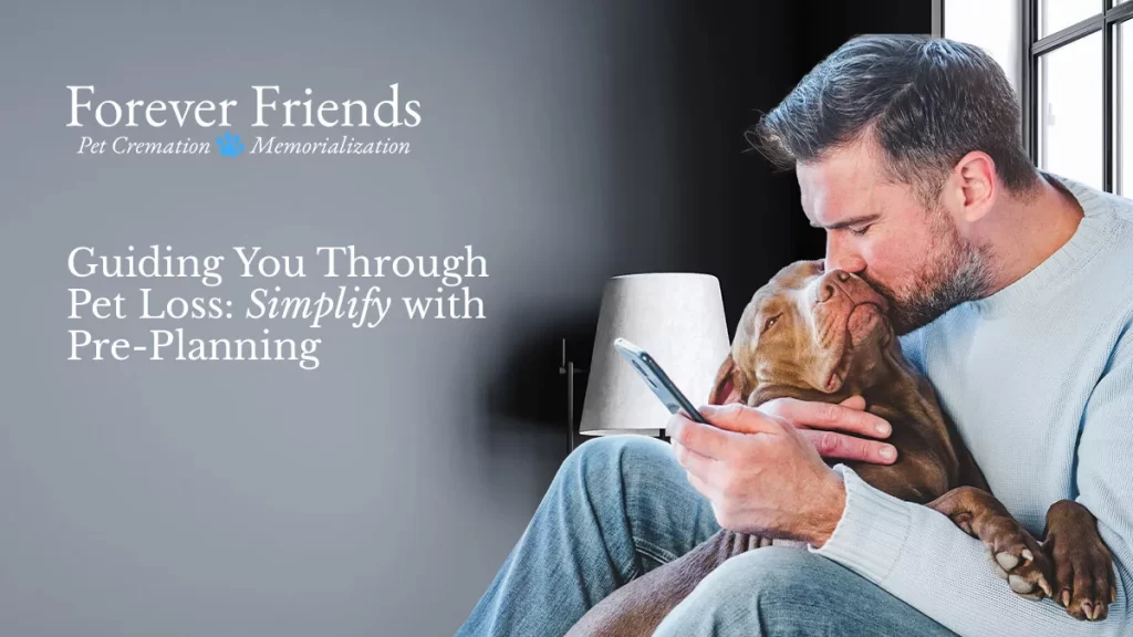 pet cremation service pet cremation service