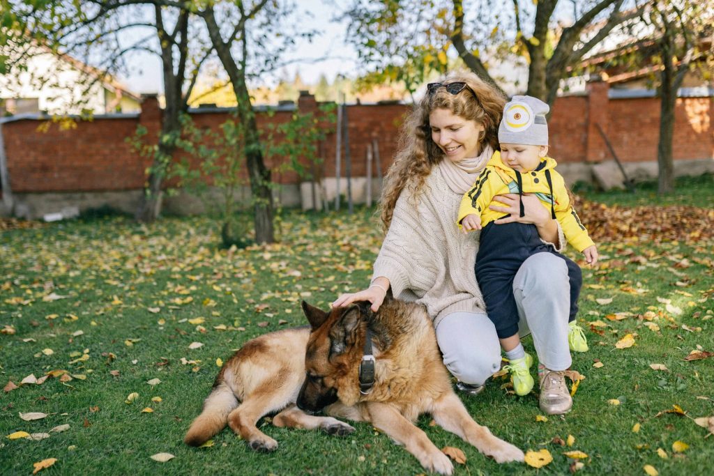 pet cremation services pet cremation services