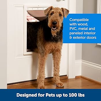 My PetSafe Plastic Medium Tinted Paintable Dog House Adventure: A Comprehensive Review My PetSafe Plastic Medium Tinted Paintable Dog House Adventure: A Comprehensive Review