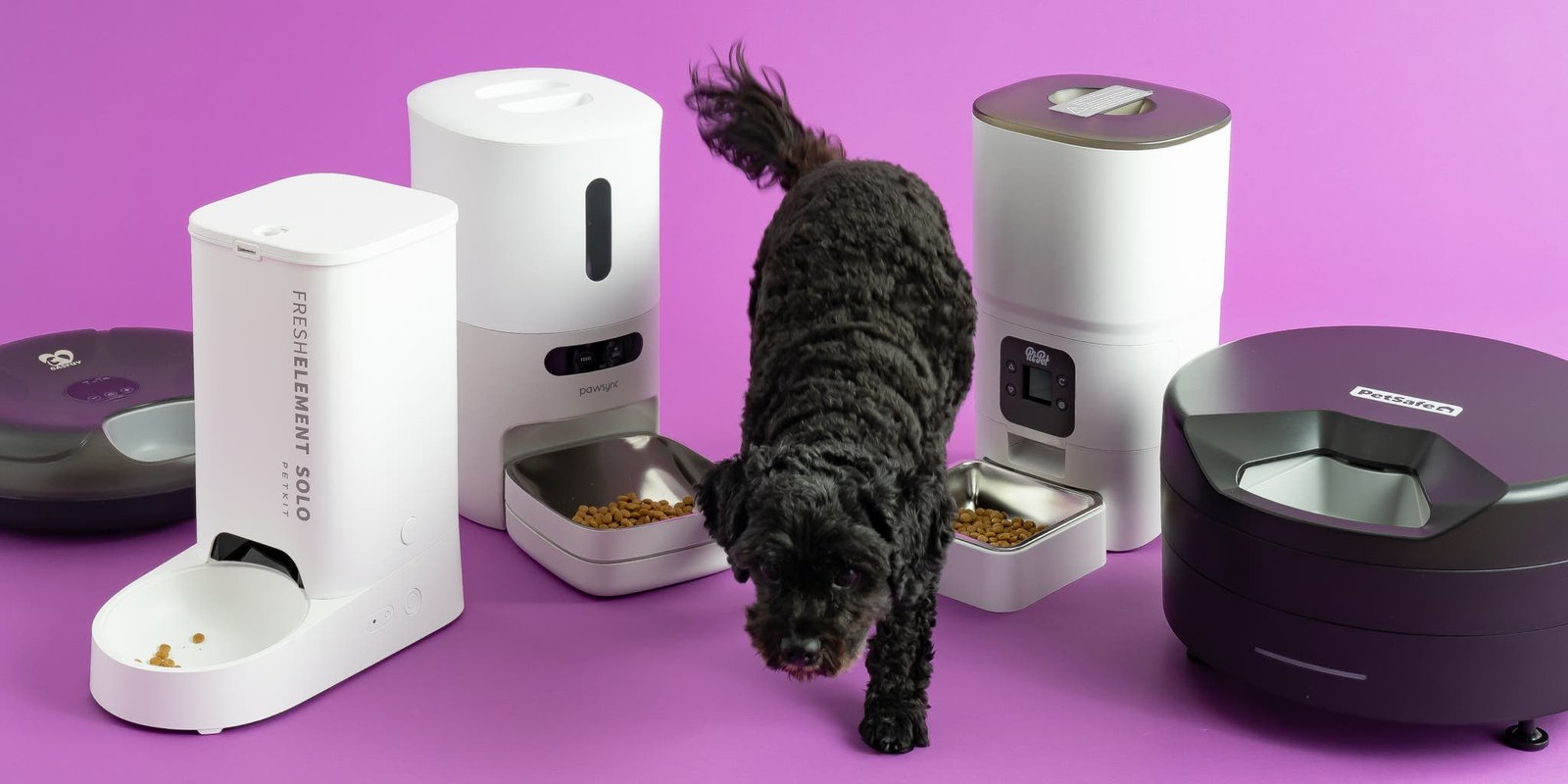 A dual-hopper automatic dog feeder compared to a gravity bowl for pet feeding.