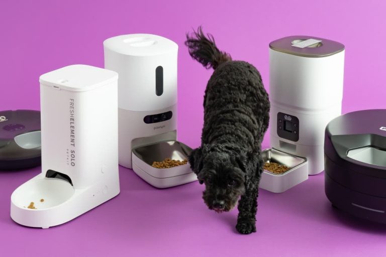 A person setting up an automatic dog feeder for their two pets.