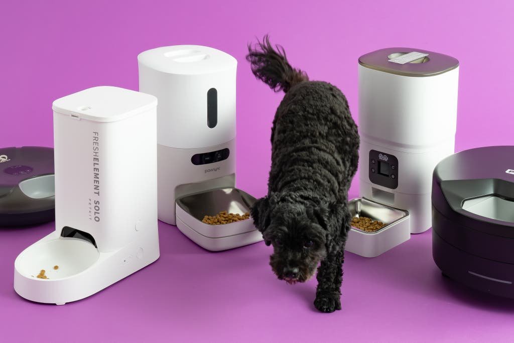 A person setting up an automatic dog feeder for their two pets.