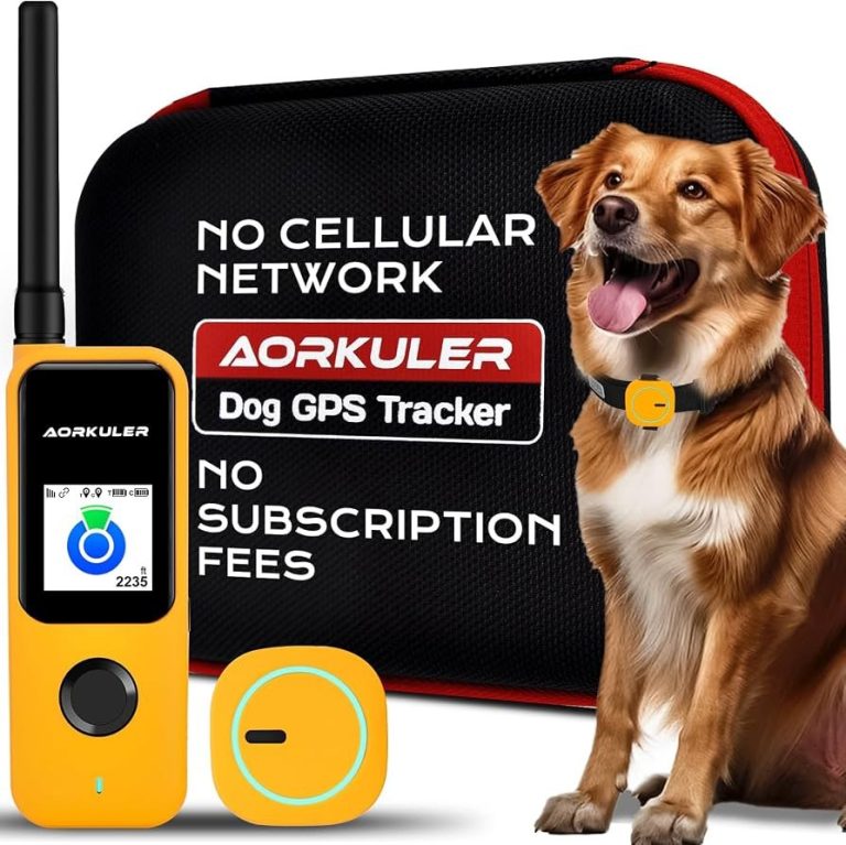 A person holding a radio-frequency receiver device used for tracking a dog tag.