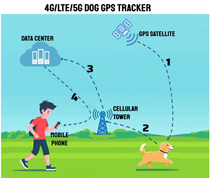 A dog tracker tag and receiver arranged neatly with a question mark symbol.