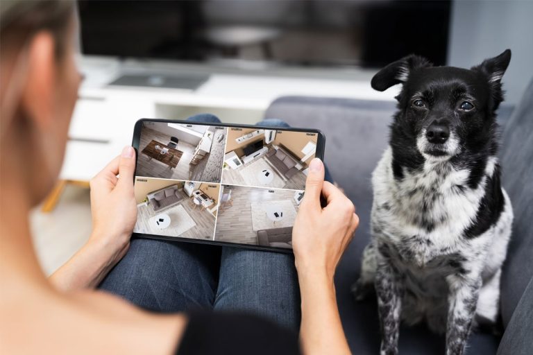 A collection of modern smart pet devices arranged neatly in a bright, contemporary living room.