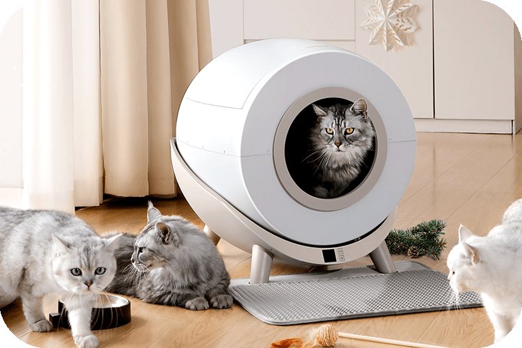 A ginger cat approaches a modern, spacious litter box in a bright room.
