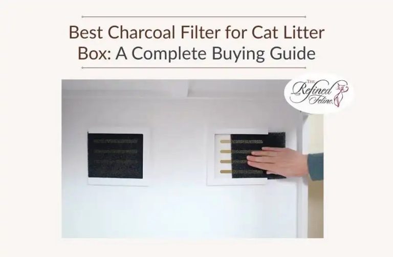 A ginger cat approaches a spacious litter box in a modern home interior.
