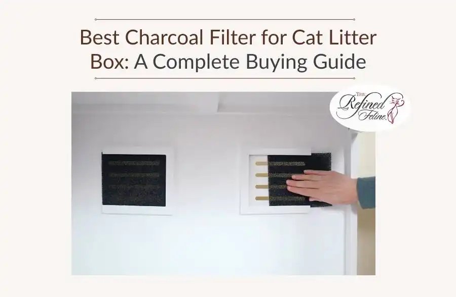A ginger cat approaches a spacious litter box in a modern home interior.