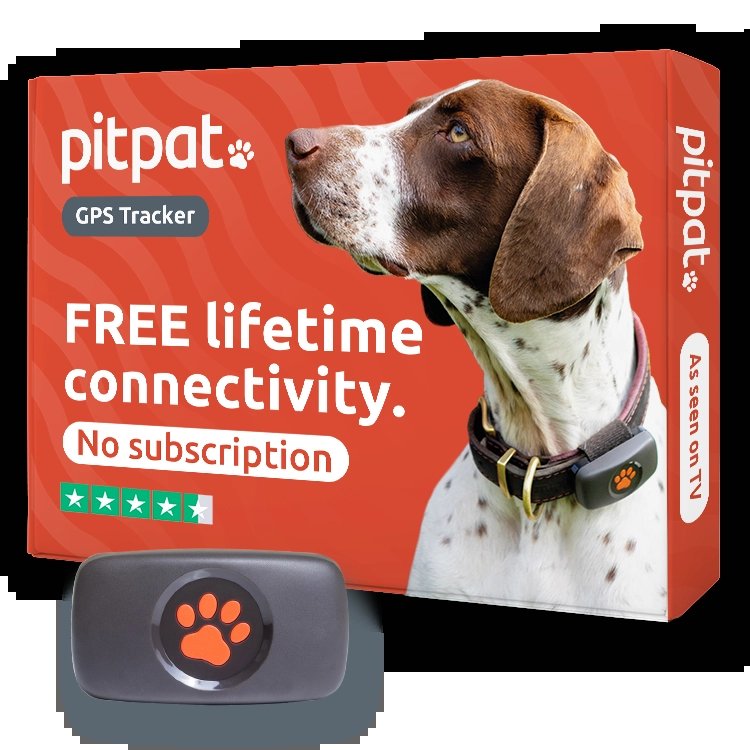 Hands securing a subscription-free GPS tracker onto a dog collar.