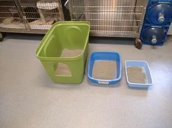 A high-sided litter box setup kept clean in a modern home corner.