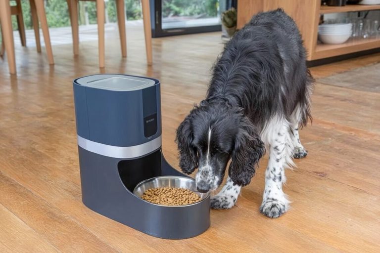 A large Golden Retriever waits patiently by a modern automatic dog feeder in a kitchen.