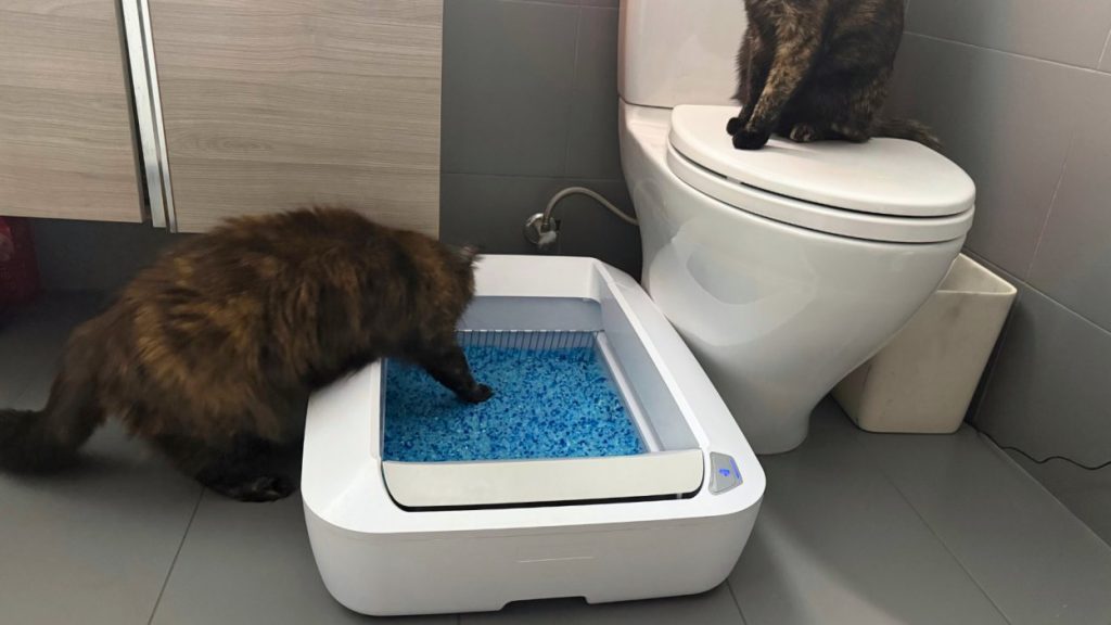 A modern self-cleaning litter box placed neatly in a bright, contemporary home interior.