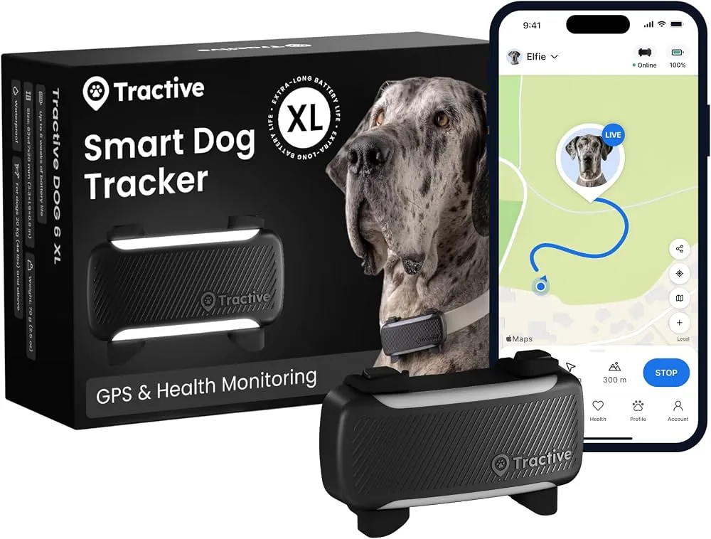 A person checking a dog tracker app while standing between tall city buildings.