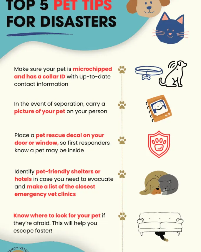 A pet owner speaking on the phone to seek professional advice for safety.